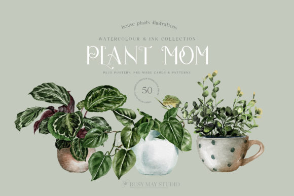 Download House Plants Illustrations and Patterns - Plant Collection