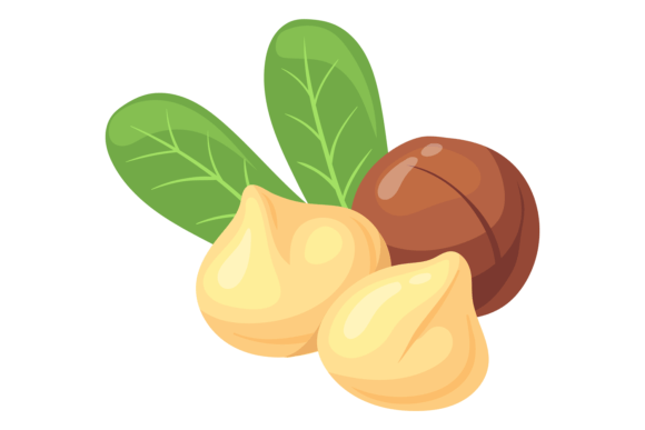 Download Macadamia Nut Cartoon Icon. Healthy Prot - Health Collection
