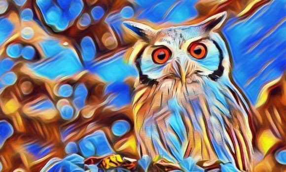 Download Owl Premium Digital Paper VOL-1 - Premium Collection